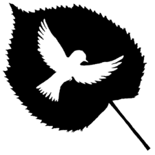Birdplant Illustration.png