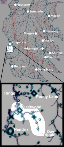 River Nicks in Illuminatia.png