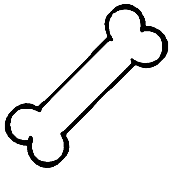 File:Fauna Illustration.png