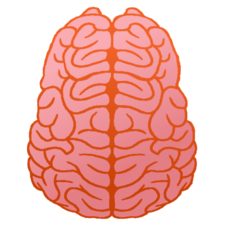 Brain Illustration.png