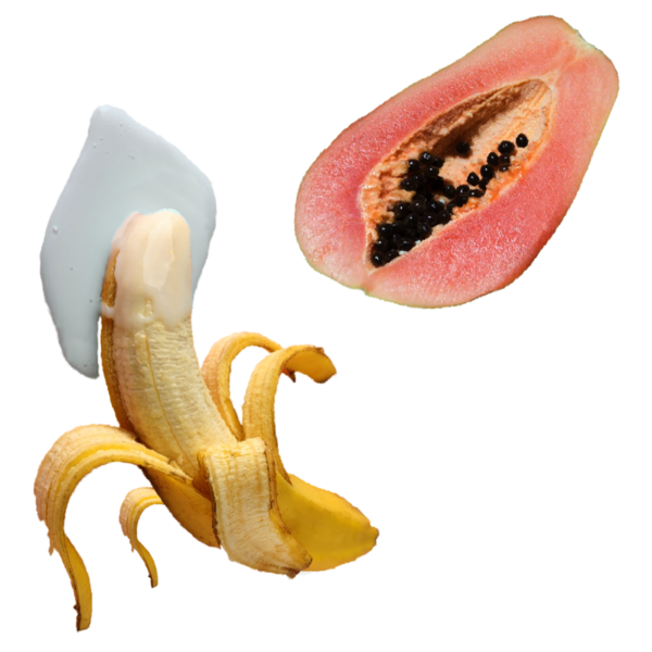 File:Fruit Dessert Illustration.png