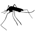 Thumbnail for version as of 01:28, 8 November 2021