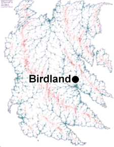 Birdland in Illuminatia Simplified.png